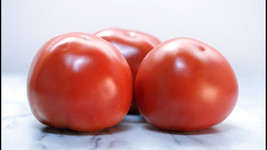 HS 50+ Seeds Bella Rosa Tomato Juicy Vegetable Planting Garden Fresh Tomatoe - £4.23 GBP