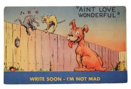 1940s Vintage Postcard Comic MWM Color Litho &quot;Ain&#39;t Love Wonderful&quot; Dog ... - $9.99