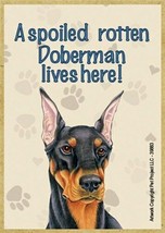 A spoiled rotten Doberman lives here Blk Tan Fridge Dog Magnet 2.5X3.5 N... - £3.98 GBP