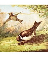 C1910s Trade Card Lark Birds Making A Nest Landscape Lithograph Ephemera... - $27.34 CAD