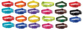 Bulk Packs of Large Dog Collars at Discount Prices Vet Shelter Rescue an... - $118.65+