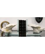 Nautical Coastal Marine White Sea Montipora Corals Acrylic Glass Bookend... - $1,861.54 MXN