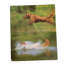 BEAUTIFUL EVIDENCE By Edward R. Tufte - Hardcover - £13.98 GBP