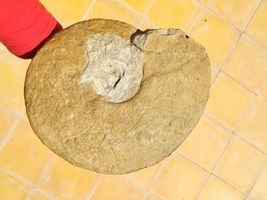 Item image 13