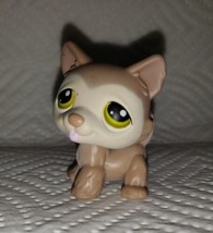 Littlest Pet Shop #358 Brown Tan Husky Puppy Dog Yellow Green Eyes  - $9.99