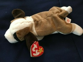 Ty Beanie Babies Bernie *Pre Owned w/Tag* aa1 - £6.28 GBP