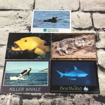 Vintage Postcards Marine Aquatic Animals Puffin Whale Shark Seal Lot Of 5  - $9.89