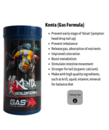 KENTA Gas Release Formula Goldfish Food Sinking Pellets With Ginger CZ A... - €14,39 EUR