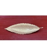 J19 - VINTAGE Brooch PIN~ GOLD TONE LEAF ~ CLASSIC - $13.06