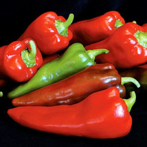 25 Carmen Italian Sweet Peppers Heirloom Seeds Vegetable Garden food - £10.92 GBP
