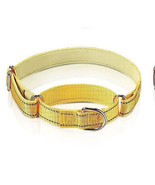 Martingale Reflective Dog Collar Adjustable Safety Nylon  Medium Dogs-Gold - $13.50 CAD