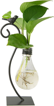 Desktop Glass Planter Hydroponics Vase,Planter Bulb Vas Holder for,Plant... - $22.79