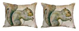 Pair of Betsy Drake Squirrel No Cord Pillows 15 Inch X 22 Inch - £63.30 GBP