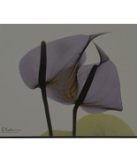 Lithograph/Print-Albert Koetsier Signed Prints Purple Flowers Pair Of Pr... - $58.50