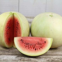 Top USA Seller King And Queen Of Winter Watermelon Seeds Packet Of 10 Seeds - £14.16 GBP