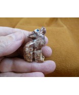 (Y-COY-18) gray red COYOTE wolf wild dog carving SOAPSTONE stone PERU FI... - €7,74 EUR