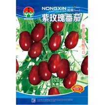 Purple Rose Cherry Tomato Seeds, 1 Original Pack, Approx 300 Seeds / Pack, Heirl - £4.39 GBP