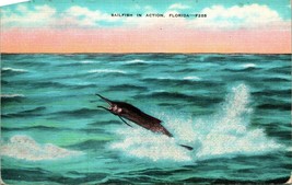 Vtg Linen Postcard Sailfish in Action Florida - Unposted Kropp Ocean View - £3.06 GBP