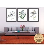 Watercolour Botanical Printable Wall Art in a Set of 3 Floral Wall Hanging Decor - $11.99