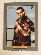 Shawn Michaels WWE Topps Trading Card 2007 #TS5 - £1.93 GBP