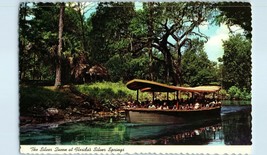 Aerial View Postcard The Silver Queen Glass Bottom Boat Florida&#39;s Silver Springs - £5.41 GBP