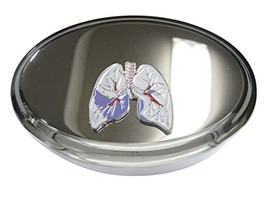 Colorful White Anatomical Medical Pulmonary Lung Oval Trinket Jewelry Box - $44.99