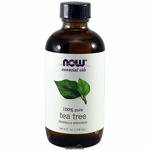 Primary image for Tea Tree Oil Now Foods 4 oz EssOil