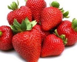10 Organic San Andreas Everbearing Strawberry Plants Bare Root Non GMO - £20.16 GBP