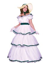 Southern Belle Costume - Small/Medium - Dress Size 2-8 - $49.99