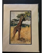 Limited Edition Hilda Vandergriff "Giraffes" Print Matted 9" x 12" - $11.20