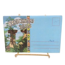 Vintage Souvenir Linen Postcard Folder, Wisconsin Dells Images 1960s Ephemera - £6.14 GBP