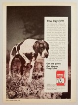 1968 Print Ad Wayne Dog Food Hunting Dog Points Allied Mills Ft. Wayne,IN - $9.50