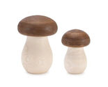 Wood Mushroom Box Decor (Set of 2) - $56.29