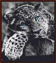 Blue-Eyed Leopard ~~ counted cross stitch pattern PDF - £15.80 GBP