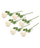 FLOWER OPEN ROSE CREAM S/6 - $605.30 MXN