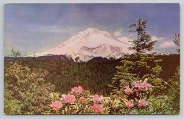 Mt Hood and Rhododendrons Oregon Scenic Mountain Real Photo Vintage Postcard - £11.24 GBP