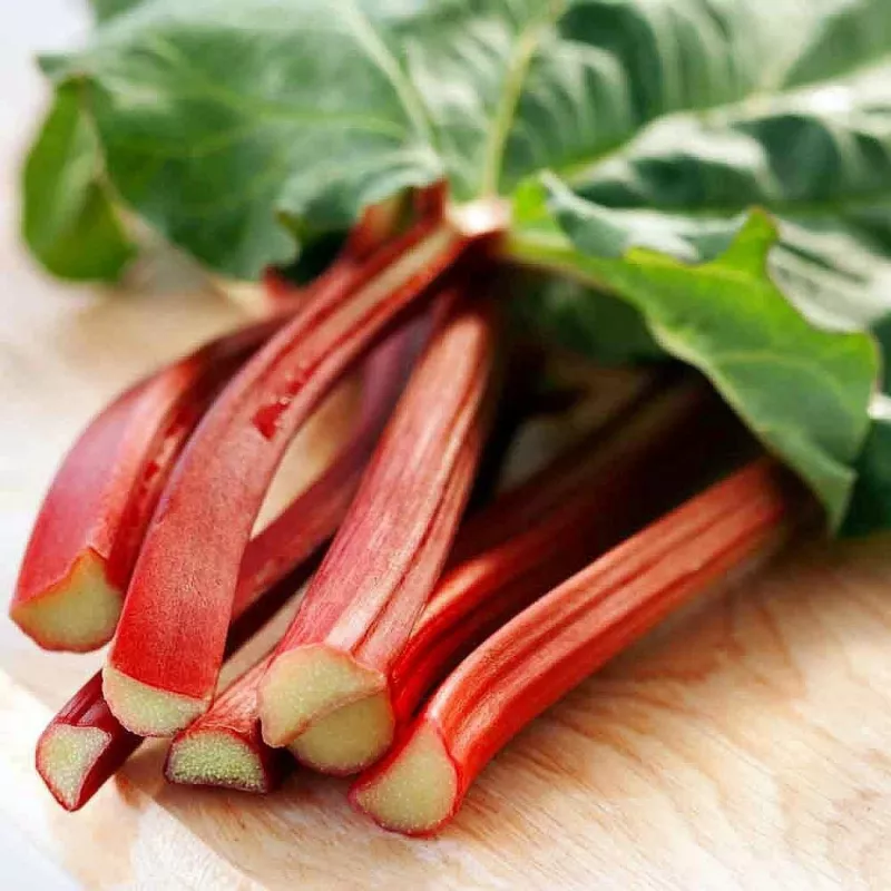 Victoria Red Rhubarb 50 Seeds Perennial Easy to Grow - $13.36