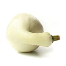 25+ Cushaw Squash Seeds | Heirloom Winter Squash for Gardens - $16.50