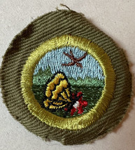 Nature Type E Merit Badge - Khaki - Boy Scouts Bsa - £5.49 GBP