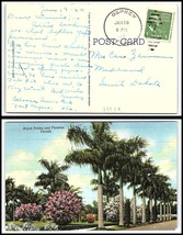 1951 FLORIDA Postcard - Osprey to Midland, South Dakota F21 - £2.33 GBP