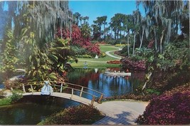 Cypress Gardens Tropical Plants Palms Trees Flowers Southern Bell FL Pos... - $7.00