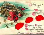 Wishing You Joyeux Noël Soie Fleur Pétales Oiseaux en Relief 1910s Carte... - $7.91