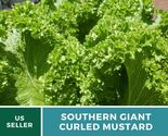 Southern giant curled mustard 1 thumb155 crop