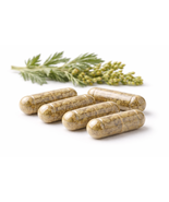 Wormwood Capsules 500 mg | Artemisia absinthium | Vegan Herb Capsules - 100 st.  - $29.99