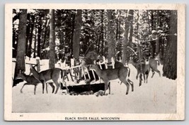 Black River Falls WI Deer In Snow Postcard V26 - £6.99 GBP