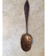 Berry spoon Rogers &amp; Bros AI berry spoon - £18.87 GBP