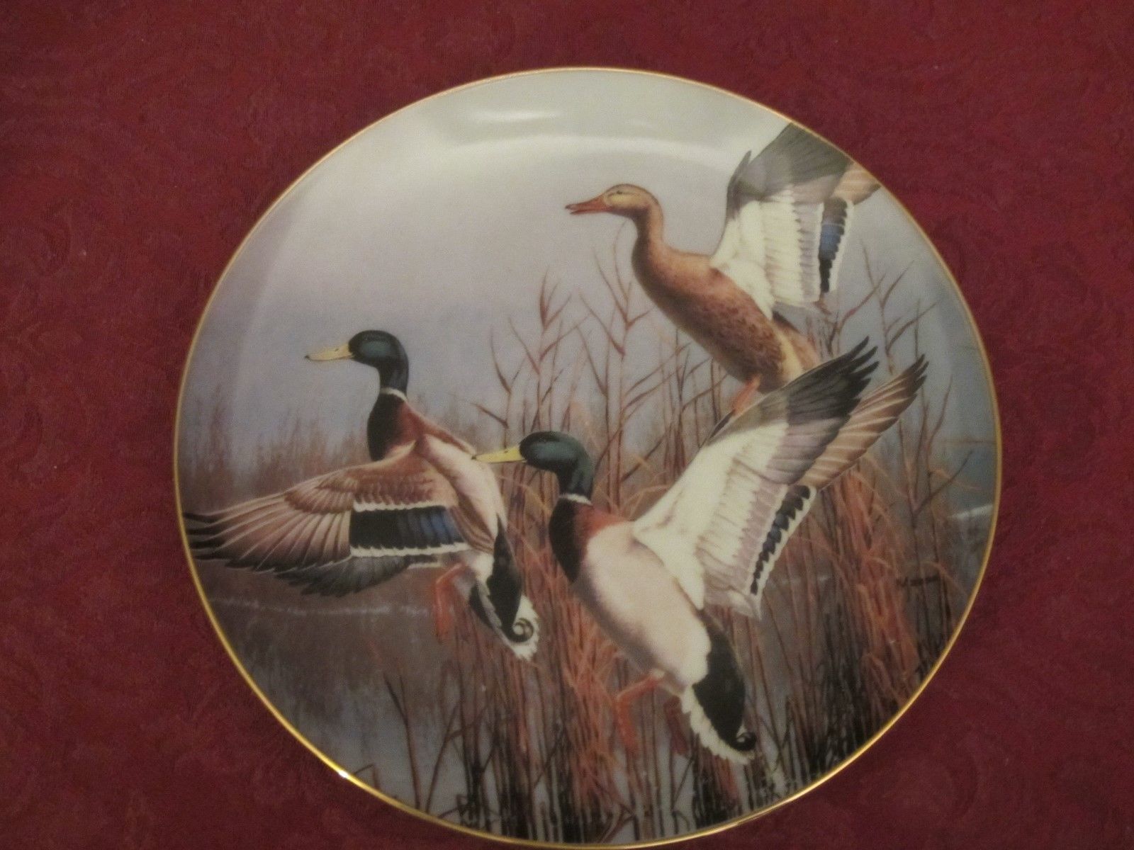 MALLARD DUCKS collector plate David Maass - Danbury Mint WATER BIRDS Ducks - $14.95