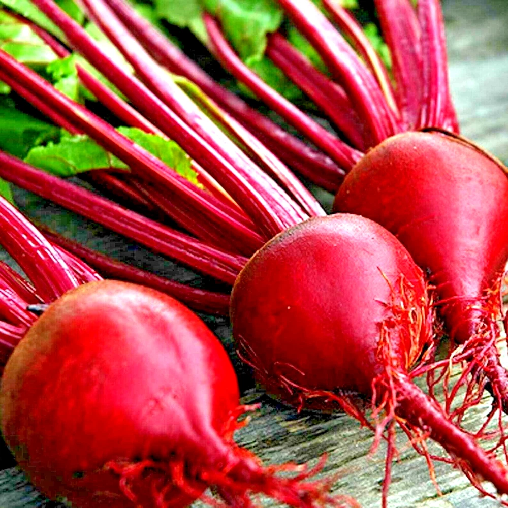 200 Detroit Beet Seeds Spring Garden Beetroot Non-Gmo Vegetable Heirloom - $4.14