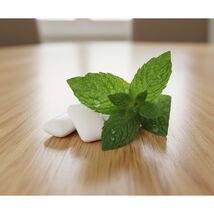 GUM N REAL Spearmint Natural Based Chewing Gum Sugar Free 6 Box - $9.40