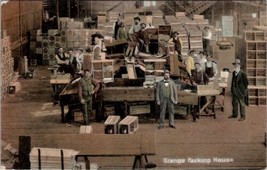 Pasadena California Orange Packing House with Workers Mgrs 1907 Postcard Y5 - $14.95